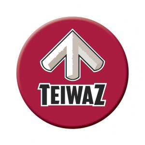 teiwaz_logo